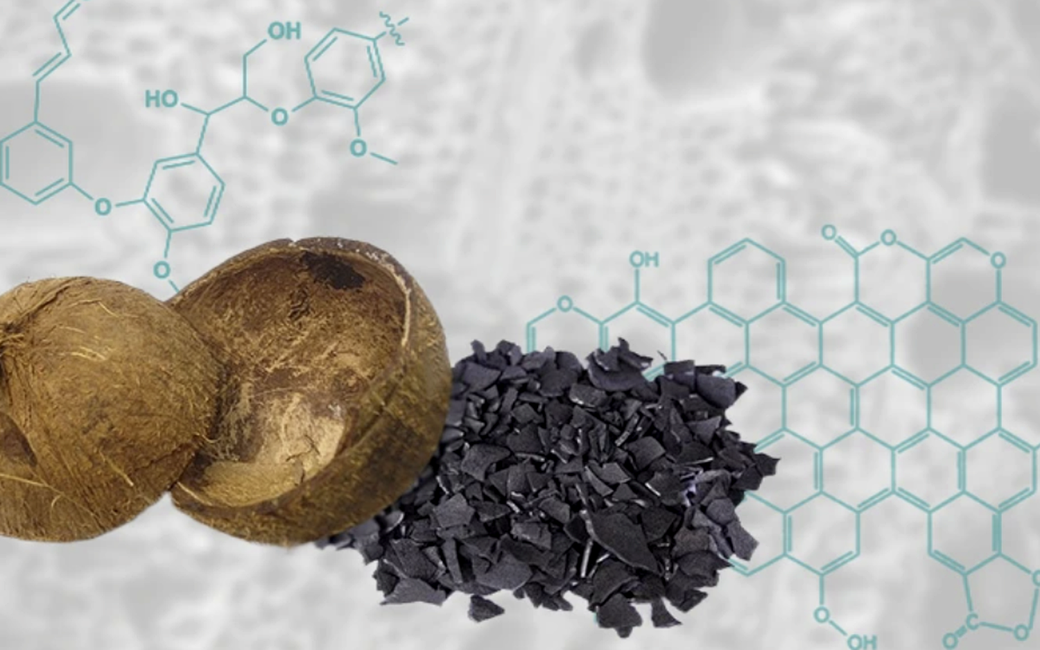 Coconut-Shell Activated Carbon